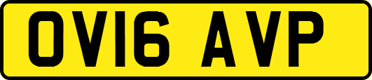 OV16AVP