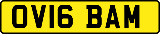 OV16BAM