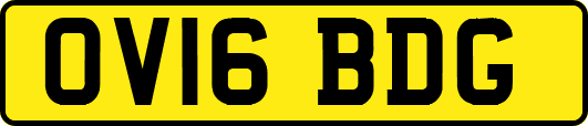 OV16BDG