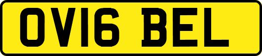 OV16BEL