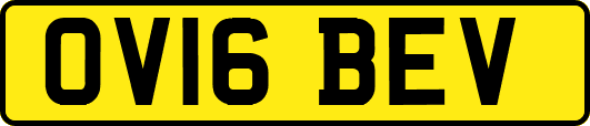 OV16BEV