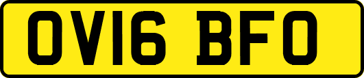 OV16BFO
