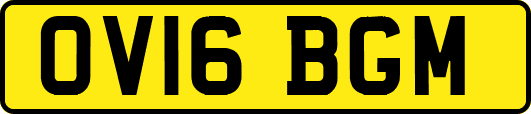 OV16BGM