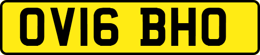 OV16BHO