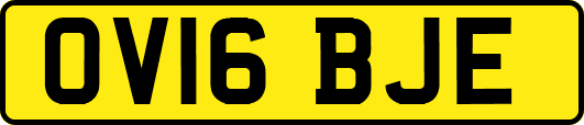 OV16BJE