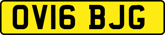 OV16BJG