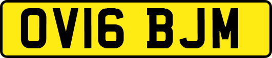 OV16BJM
