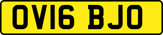 OV16BJO