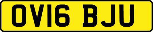 OV16BJU