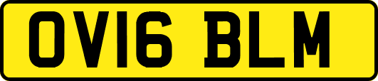 OV16BLM