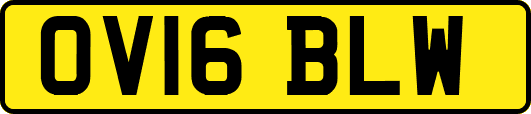 OV16BLW
