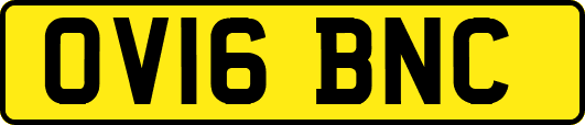 OV16BNC