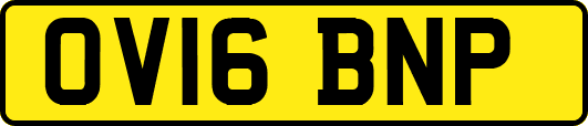 OV16BNP