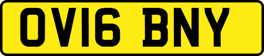 OV16BNY
