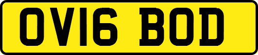 OV16BOD
