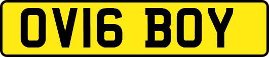 OV16BOY