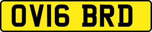 OV16BRD