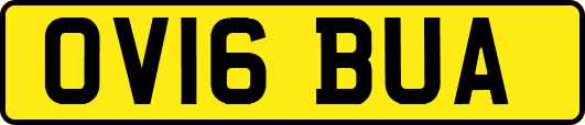 OV16BUA
