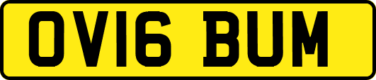 OV16BUM