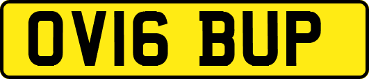 OV16BUP