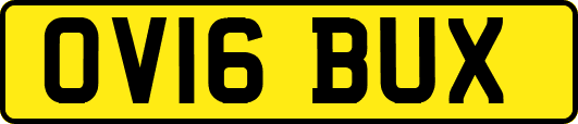 OV16BUX