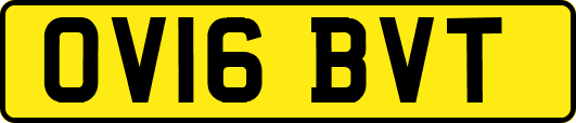 OV16BVT