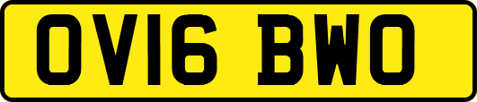 OV16BWO