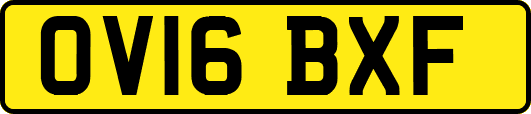 OV16BXF