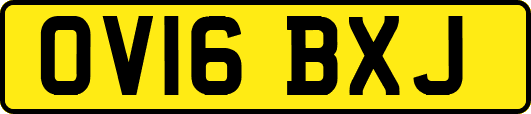 OV16BXJ