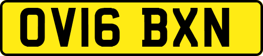 OV16BXN