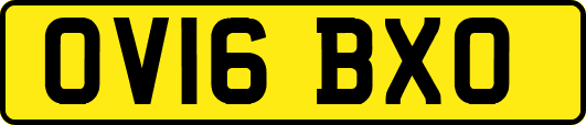 OV16BXO
