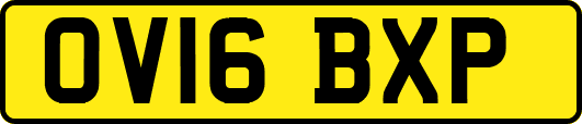 OV16BXP