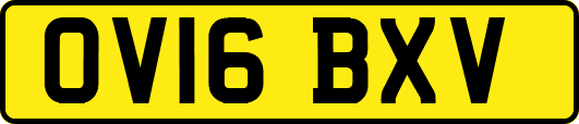 OV16BXV