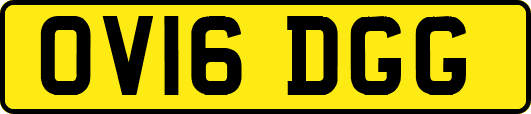 OV16DGG