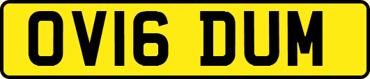 OV16DUM