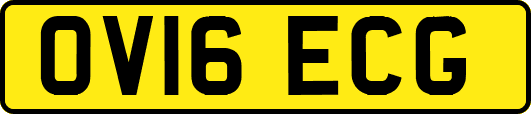 OV16ECG