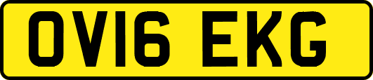 OV16EKG