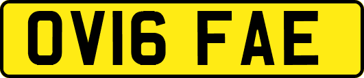 OV16FAE