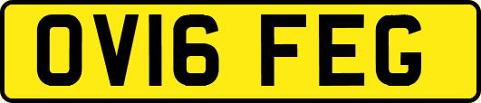 OV16FEG