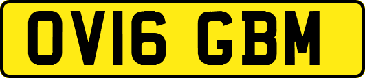 OV16GBM
