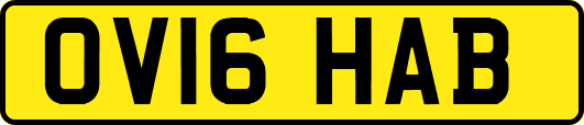 OV16HAB