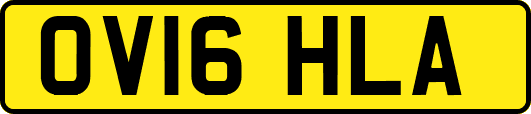 OV16HLA