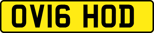 OV16HOD