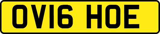OV16HOE