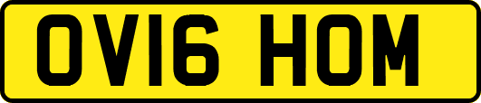 OV16HOM