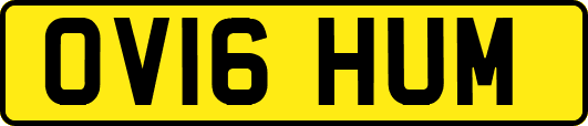 OV16HUM
