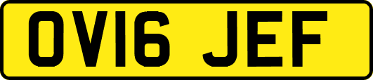 OV16JEF
