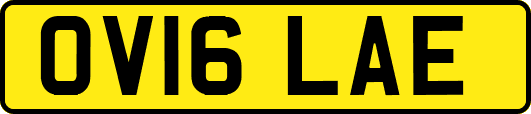 OV16LAE