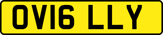 OV16LLY