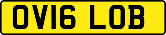OV16LOB